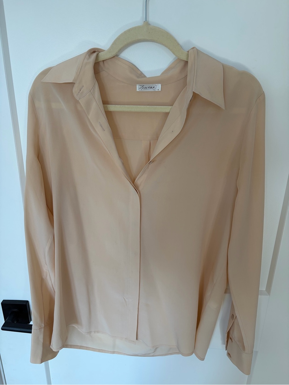 Pale Apricot Pure Silk Button-Front Blouse
